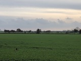 Ferienhaus in Fehmarn OT Gammendorf - Ferienhof Micheel - Blick von der eigenen Terrasse