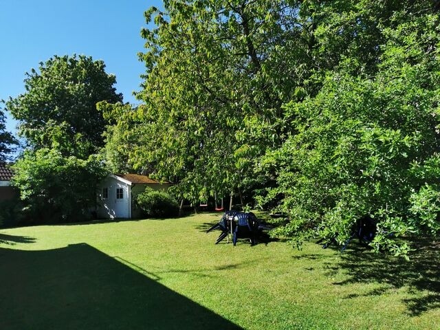 Ferienwohnung in Kellenhusen - Rosa Canina, W4 - Bild 11