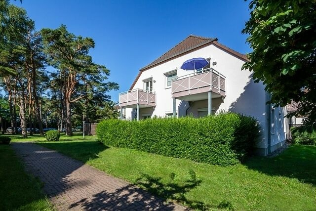 Ferienwohnung in Dierhagen - Ferienwohnung "Strandgut" - Bild 3