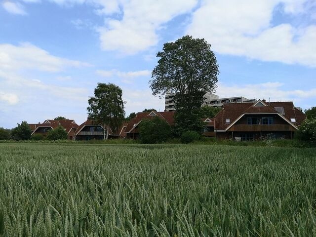 Ferienwohnung in Dahme - Jacobihof Haus 15 Wohnung 02 - Bild 12