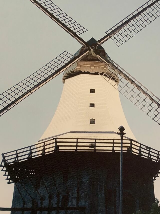 Ferienhaus in Kappeln - Zwischen Schlei & Ostsee - Bild 20
