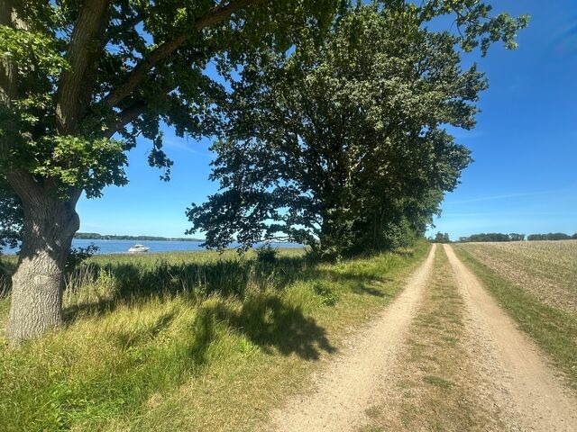 Ferienhaus in Kappeln - Zwischen Schlei & Ostsee - Bild 23