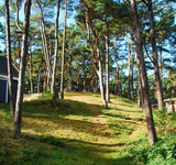 Ferienhaus in Baabe - Panama - Baabe - Bild 24