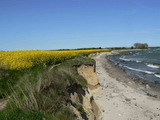 Ferienwohnung in Großenbrode - Strandperle 2 - Großenbrode - Bild 19