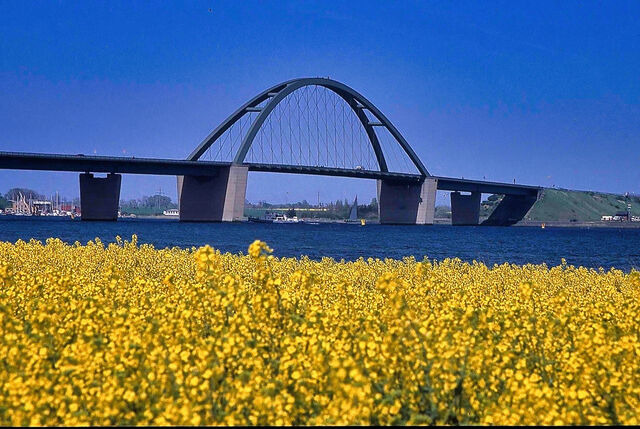 Ferienwohnung in Großenbrode - Möwennest 11 - Großenbrode - Bild 18