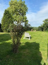 Ferienwohnung in Fehmarn OT Wulfen - Golfhüs Simone, Ferienwohnung EG - Bild 23