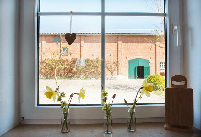 Ferienwohnung in Fehmarn OT Neujellingsdorf - Bauernhof H&ouml;per-Rauert - Reihenhaus 3 - Bild 3