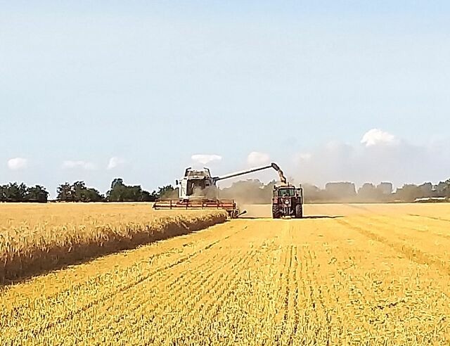 Ferienwohnung in Fehmarn OT Neujellingsdorf - Bauernhof H&ouml;per-Rauert - Reihenhaus 3 - Bild 20