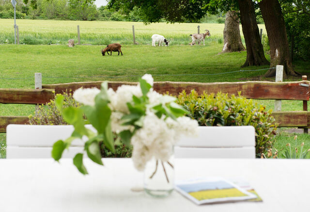 Ferienwohnung in Fehmarn OT Neujellingsdorf - Bauernhof H&ouml;per-Rauert - Nr. 9 Wellnesshaush&auml;lfte - Bild 7