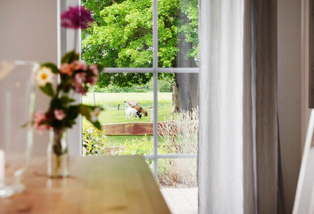 Ferienwohnung in Fehmarn OT Neujellingsdorf - Bauernhof H&ouml;per-Rauert - Nr. 9 Wellnesshaush&auml;lfte - Bild 8