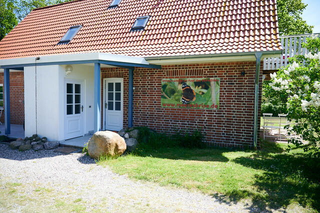 Ferienwohnung in Dahme - S&uuml;&szlig;e Wohnung direkt am Wald (rotes Haus EG) - Bild 10