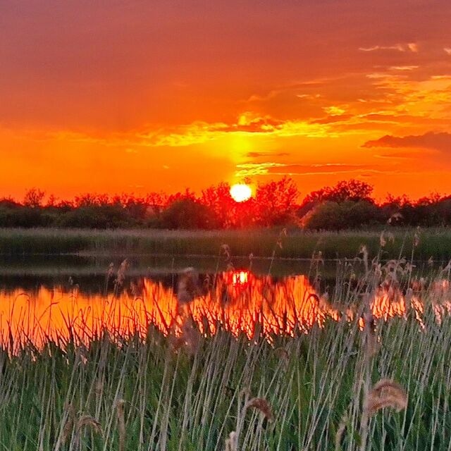 Bungalow in J&uuml;rgenshagen - Projekt Ferienhaus am See - Bild 25