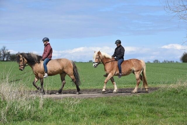 Ferienwohnung in Fehmarn OT Staberdorf - Tenne 5, inkl. 1 Parkplatz - Bild 11