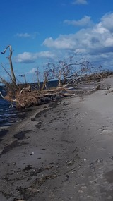 Ferienhaus in L&uuml;tow - Ferienhaus K&ouml;hler Am Achterwasser , Urlaub mit Hund - Bild 23