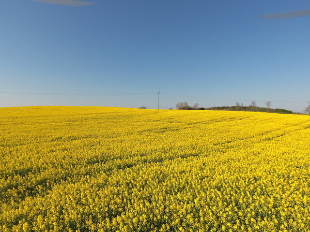 Ferienwohnung in Rabenkirchen-Faul&uuml;ck - Ferienwohnung BEA 2 - Bild 8