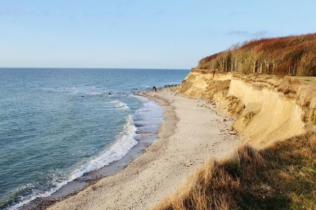 Ferienhaus in Dranske - Rügenzauber Reetdachhaus mit Sauna u. Kamin | Strandnähe | Garten - Bild 25