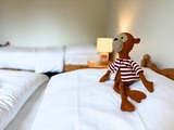 Ferienwohnung in Fehmarn OT Wulfen - Ruth Sonnenhut - Bild 14
