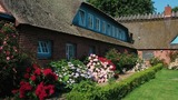 Ferienwohnung in Nieby - Strandhaus Falshöft 1 - Bild 6