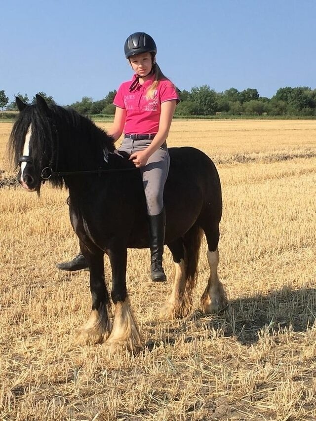 Ferienhaus in Fehmarn - Haus im Apfelgarten 3 - Bild 12
