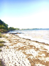 Ferienhaus in Glücksburg - Kajüte 5A - Naturstrand im Winter