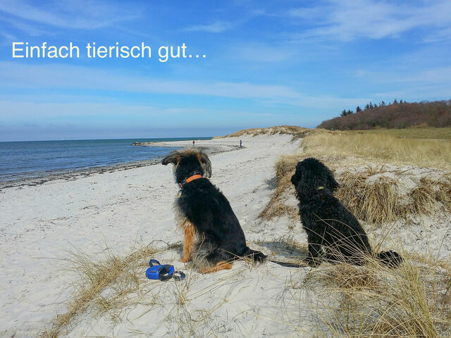 Ferienwohnung in Wendtorf - Whg. Klabautermann - Haus Nordlichter - Bild 25