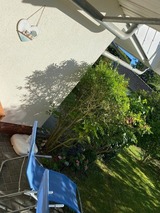 Ferienwohnung in Zingst - Fewo Kranich 36 - Bild 18