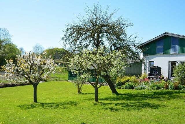 Ferienwohnung in Grödersby - 62 qm Ferienwohnung mit Schleiblick - Bild 25