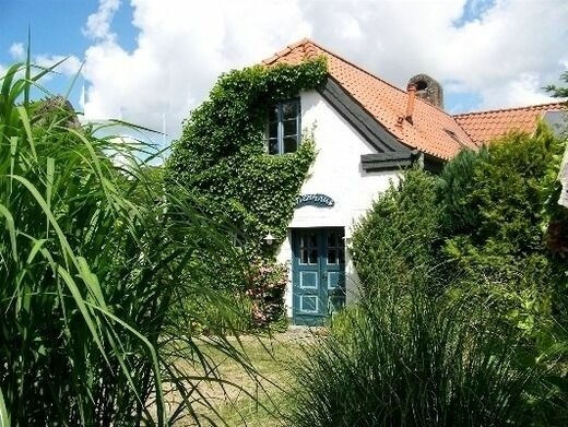 Ferienhaus in Ulsnis - Ferienhaus Alte Schmiede - Bild 5