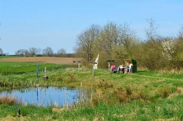 Ferienwohnung in Holzdorf - Ferienwohnung im Skulpturengarten Gr&uuml;nlund - Bild 13