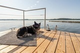 Ferienwohnung in Schleswig - Hausboot Helena - Bild 14