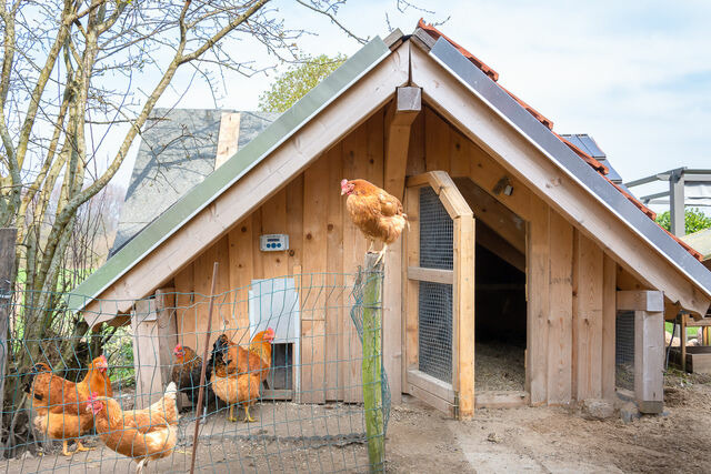 Ferienwohnung in Waabs - Ostseegarten Langholz - Ferienwohnung Waterblick (bis 4 Pers) - Bild 18