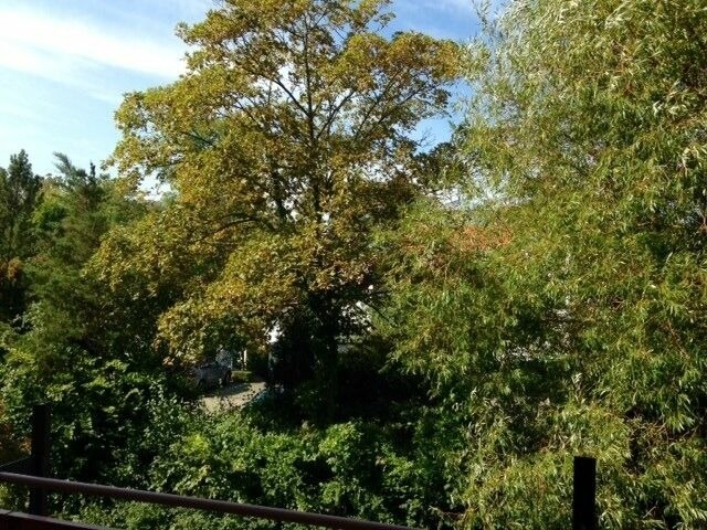 Ferienwohnung in K&uuml;hlungsborn - Ostseeblick, Wustrow 28 - Bild 10