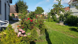 Ferienwohnung in Kellenhusen - FeWo Lilly - Bild 20