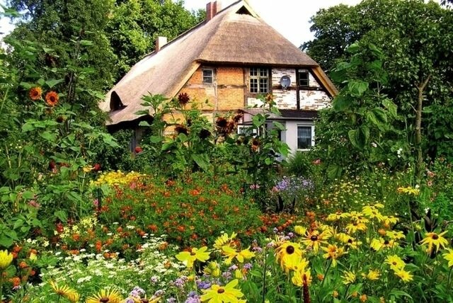 Ferienwohnung in Starkow - Ferienwohnung Rosengarten am Pfarrgarten Starkow - Bild 11