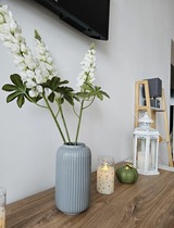 Ferienwohnung in Gr&ouml;mitz - Apartment Stern im von Gr&ouml;mitz - Bild 6