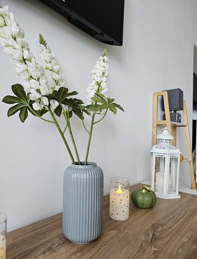 Ferienwohnung in Gr&ouml;mitz - Apartment Stern im von Gr&ouml;mitz - Bild 6