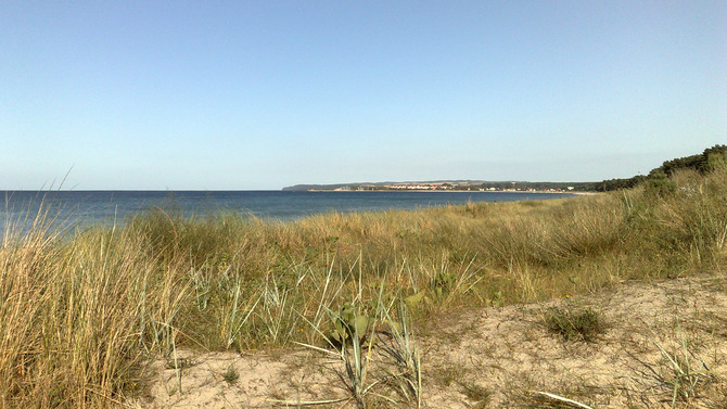 Ferienwohnung in Sassnitz - Kreidefelsen mit Balkon - Hundestrand