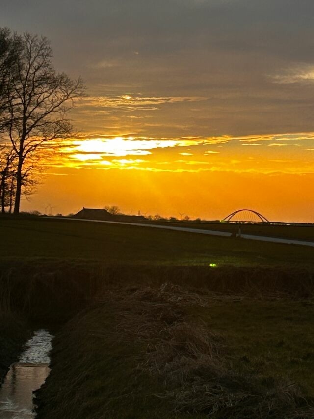 Ferienwohnung in Fehmarn - Seute Deern- G&ouml;rtz - Bild 4