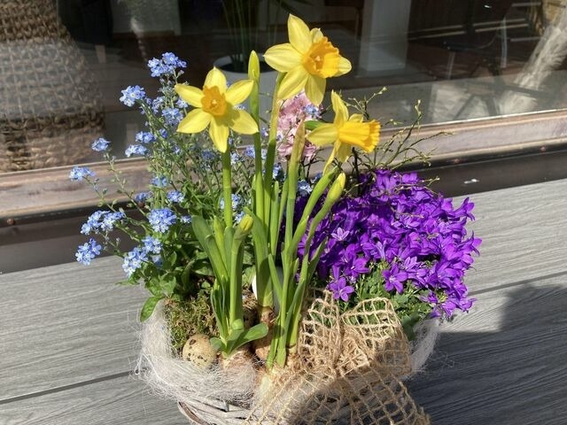 Ferienwohnung in Dahme - Haus Meeresgl&uuml;ck Seeteufel - Bild 22