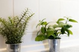 Ferienwohnung in Grömitz - Haus Meeresgruß Meeresgruß - Bild 21