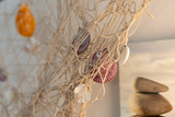 Ferienhaus in Kalifornien - Muschelsucher - Bild 6