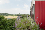 Ferienwohnung in Dahme - Berolina Achterwind - Bild 12