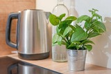 Ferienwohnung in Timmendorfer Strand - Wohnung 113 - Bild 14