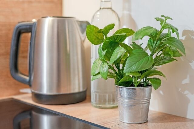 Ferienwohnung in Timmendorfer Strand - Wohnung 113 - Bild 14