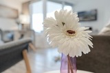 Ferienwohnung in Scharbeutz - Montemare Ankerplatz - Bild 15