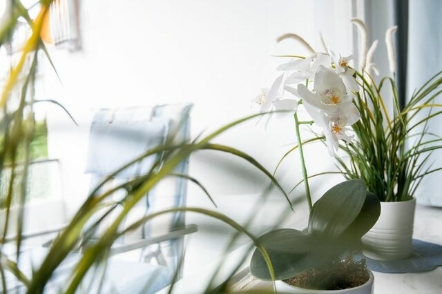 Ferienwohnung in Grömitz - Strandschloss Wohnung 29 - Bild 10