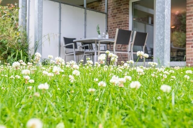 Ferienwohnung in Kellenhusen - Strandh&auml;user Lindenstra&szlig;e Ostseeschw&auml;rmerei - Bild 20
