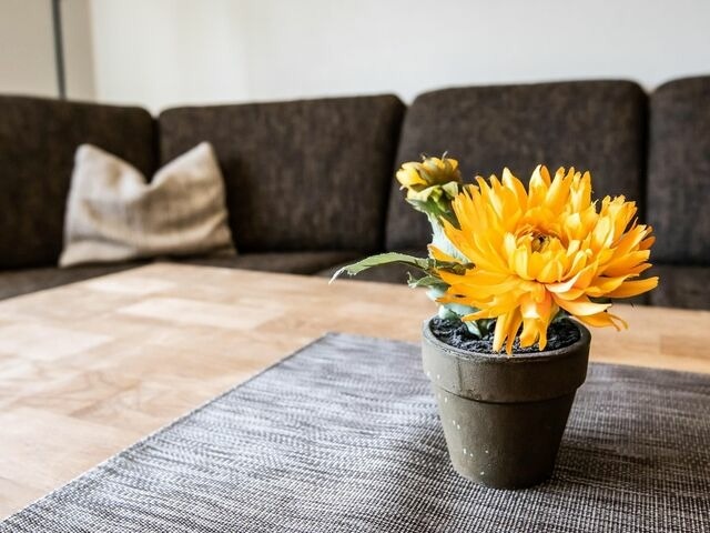 Ferienwohnung in Kellenhusen - Wildebrand - Bild 6