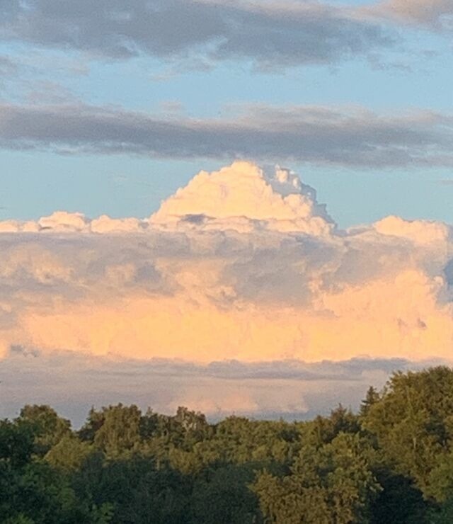 Ferienwohnung in Ascheffel - Wilsterberg FeWo "die Gro&szlig;e" - Bild 5