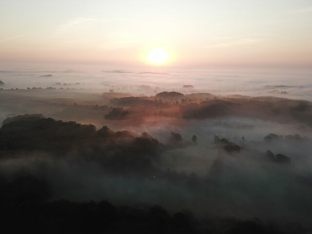 Ferienwohnung in Ascheffel - Wilsterberg FeWo "Kombi" - Bild 15